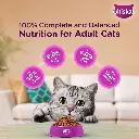 71RGxBNvatL._SL1500_.webp